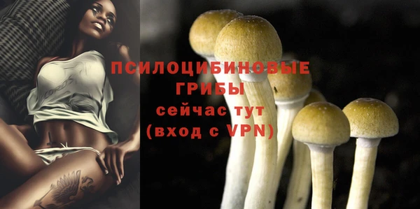 тгк Балахна