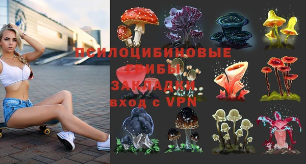 соль курить ск Аркадак