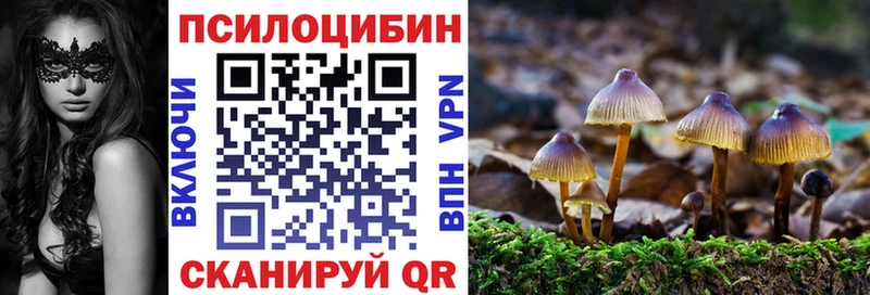 Псилоцибиновые грибы Cubensis Воткинск